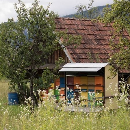 Apartma Petra Ravnik - Wanderer'S Hut Appartement Bohinj Buitenkant foto