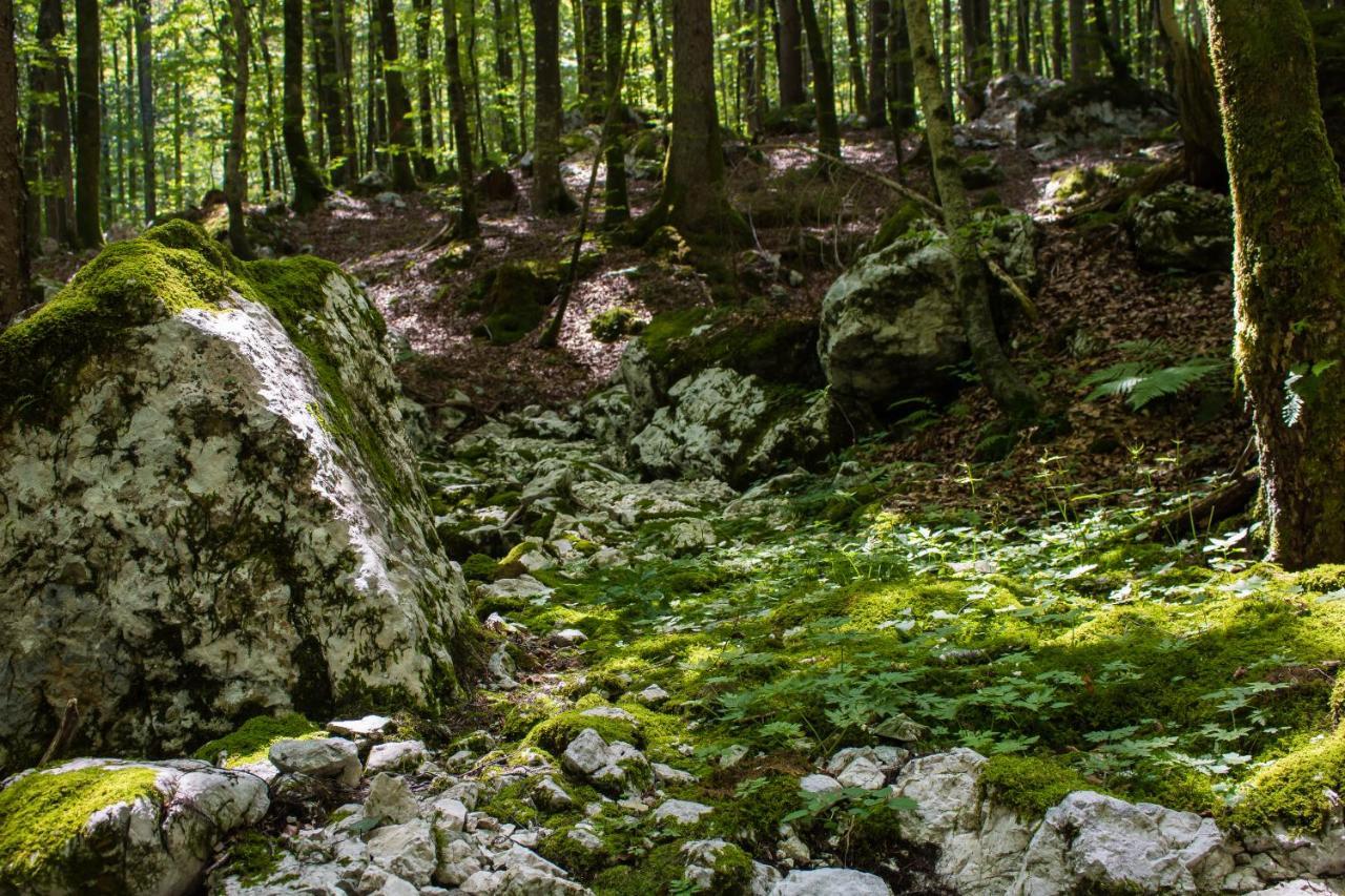 Apartma Petra Ravnik - Wanderer'S Hut Appartement Bohinj Buitenkant foto