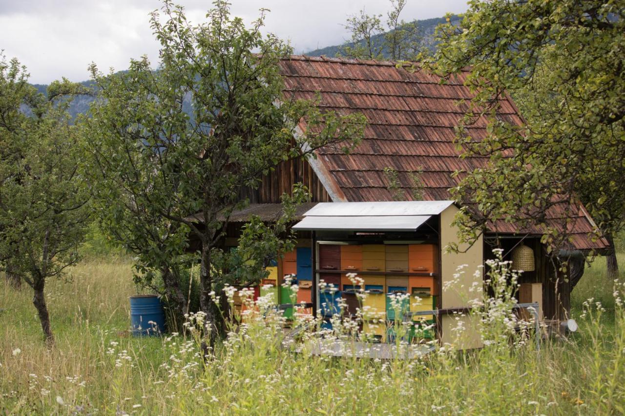 Apartma Petra Ravnik - Wanderer'S Hut Appartement Bohinj Buitenkant foto